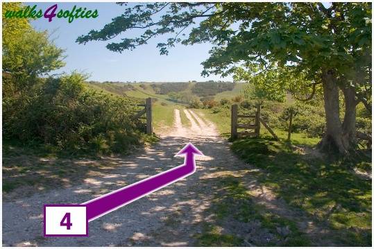 Walk direction photograph: 4 for walk St Gabriel's and Cain's Folly, Stonebarrow Hill, Dorset, South West England.