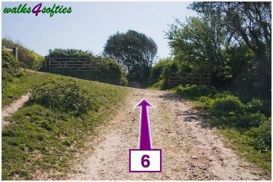 Walk direction photograph: 6 for walk St Gabriel's and Cain's Folly, Stonebarrow Hill, Dorset, South West England.