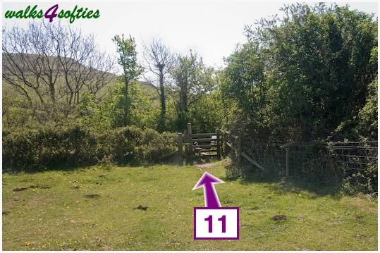 Walking direction photo: 11 for walk St Gabriel's and Cain's Folly, Stonebarrow Hill, Dorset, Jurassic Coast.