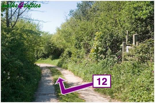 Walk direction photograph: 12 for walk St Gabriel's and Cain's Folly, Stonebarrow Hill, Dorset, South West England.