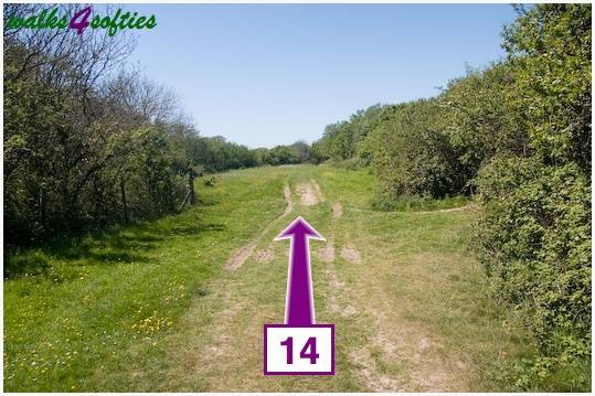 Walk direction photograph: 14 for walk St Gabriel's and Cain's Folly, Stonebarrow Hill, Dorset, South West England.