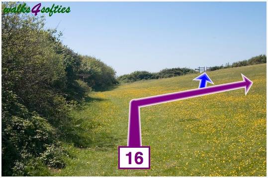 Walk direction photograph: 16 for walk St Gabriel's and Cain's Folly, Stonebarrow Hill, Dorset, South West England.