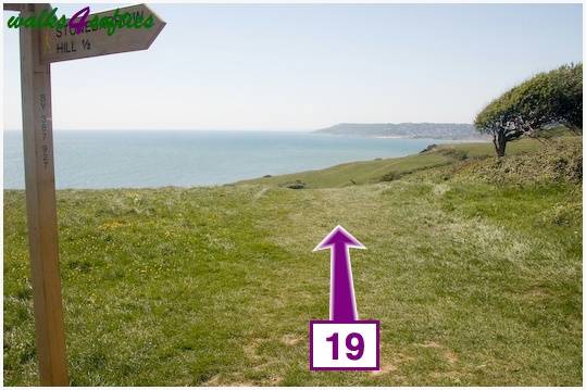Walking direction photo: 19 for walk St Gabriel's and Cain's Folly, Stonebarrow Hill, Dorset, Jurassic Coast.