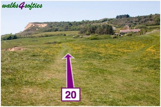 Walk direction photograph: 20 for walk St Gabriel's and Cain's Folly, Stonebarrow Hill, Dorset, South West England.