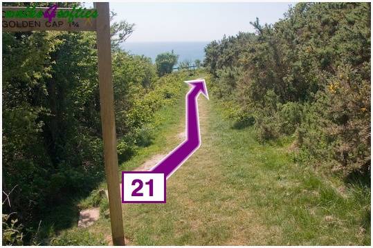 Walking direction photo: 21 for walk St Gabriel's and Cain's Folly, Stonebarrow Hill, Dorset, Jurassic Coast.