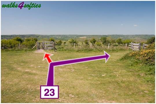 Walking direction photo: 23 for walk St Gabriel's and Cain's Folly, Stonebarrow Hill, Dorset, Jurassic Coast.