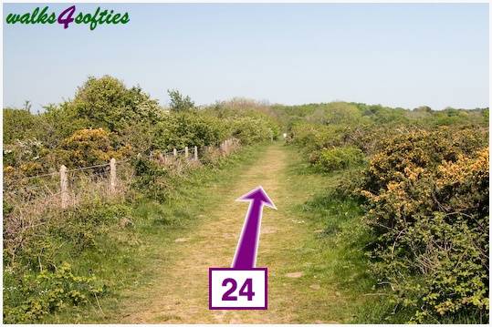 Walk direction photograph: 24 for walk St Gabriel's and Cain's Folly, Stonebarrow Hill, Dorset, South West England.