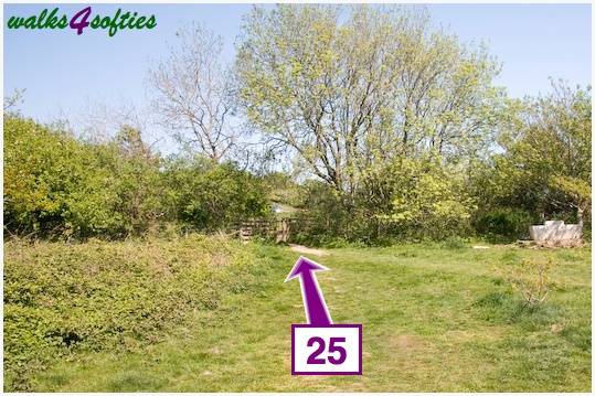 Walking direction photo: 25 for walk St Gabriel's and Cain's Folly, Stonebarrow Hill, Dorset, Jurassic Coast.