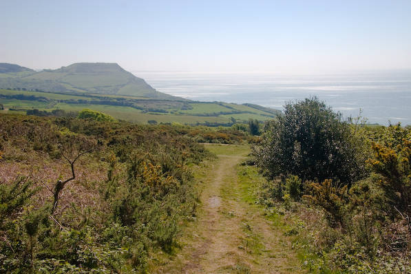 Picture, Photo, View of Stonebarrow Hill, Dorset