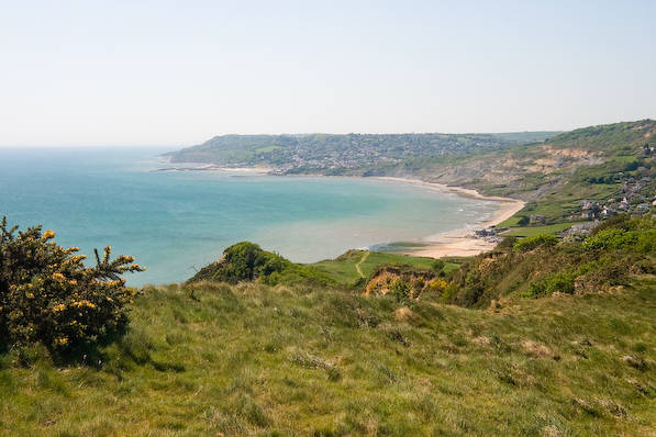 Picture, Photo, View of Stonebarrow Hill, Dorset