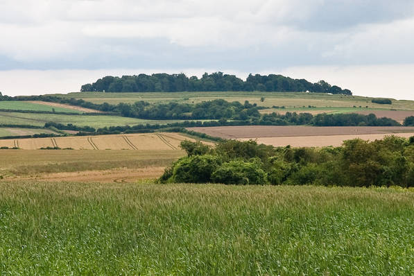 Picture, Photo, View of Tarrant Rushton, Dorset