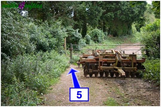 Walking direction photo: 5 for walk Old Airfield, Tarrant Rushton, Dorset.