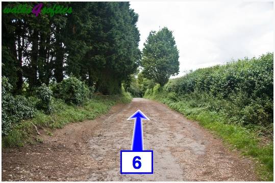 Walk direction photograph: 6 for walk Old Airfield, Tarrant Rushton, Dorset, South West England.