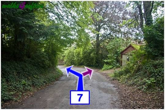 Walking direction photo: 7 for walk Old Airfield, Tarrant Rushton, Dorset.