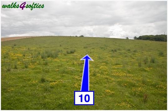 Walk direction photograph: 10 for walk Old Airfield, Tarrant Rushton, Dorset, South West England.