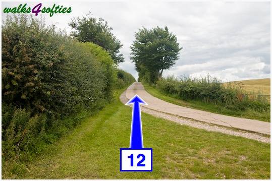 Walk direction photograph: 12 for walk Old Airfield, Tarrant Rushton, Dorset, South West England.