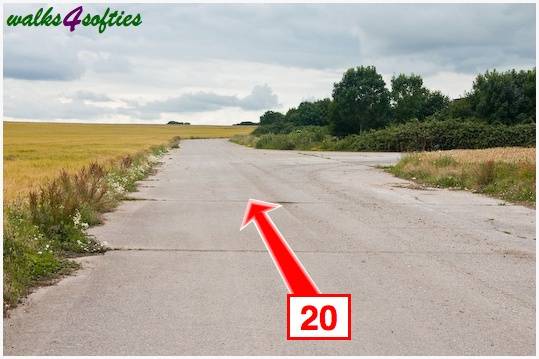 Walk direction photograph: 20 for walk Old Airfield, Tarrant Rushton, Dorset, South West England.