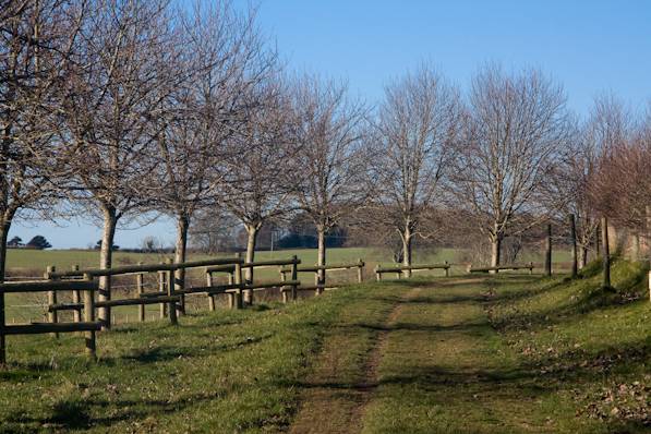 Picture, Photo, View of Cranborne, Dorset