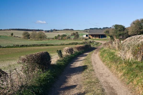 Picture, Photo, View of Cranborne, Dorset