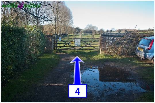 Walk direction photograph: 4 for walk Jack's Hedge Corner, Cranborne, Dorset, South West England.