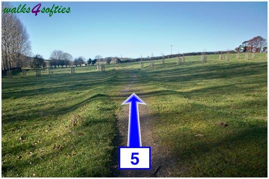 Walking direction photo: 5 for walk Jack's Hedge Corner, Cranborne, Dorset.