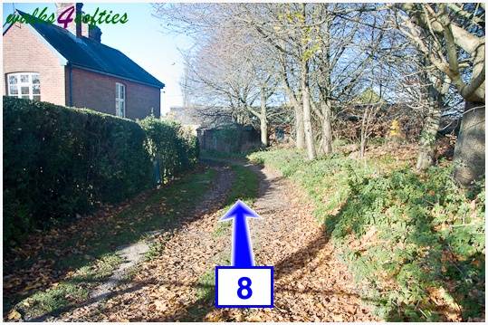 Walk direction photograph: 8 for walk Jack's Hedge Corner, Cranborne, Dorset, South West England.