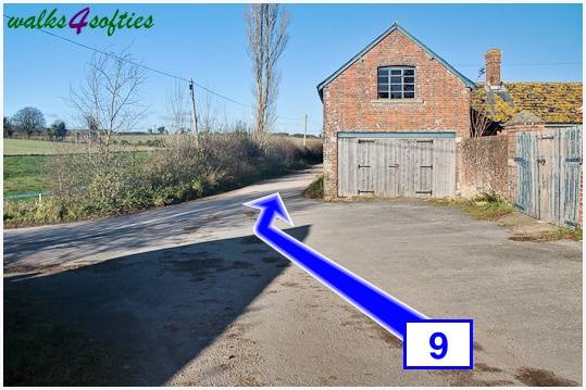 Walking direction photo: 9 for walk Jack's Hedge Corner, Cranborne, Dorset.