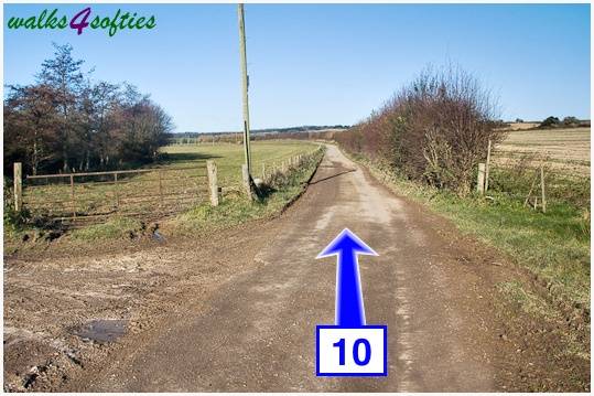 Walk direction photograph: 10 for walk Jack's Hedge Corner, Cranborne, Dorset, South West England.