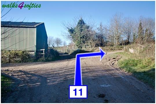 Walking direction photo: 11 for walk Jack's Hedge Corner, Cranborne, Dorset.