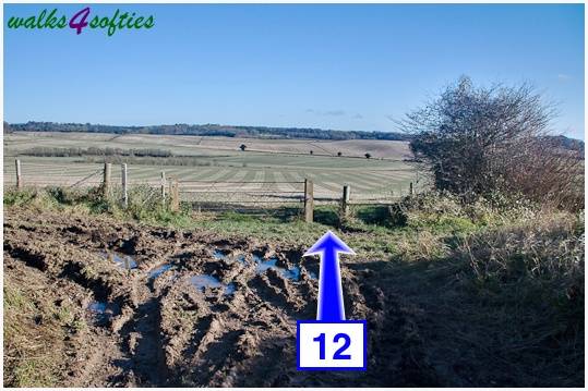 Walk direction photograph: 12 for walk Jack's Hedge Corner, Cranborne, Dorset, South West England.