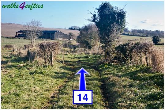 Walk direction photograph: 14 for walk Jack's Hedge Corner, Cranborne, Dorset, South West England.