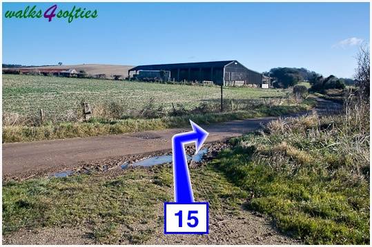 Walking direction photo: 15 for walk Jack's Hedge Corner, Cranborne, Dorset.