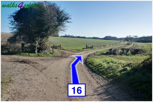 Walk direction photograph: 16 for walk Jack's Hedge Corner, Cranborne, Dorset, South West England.