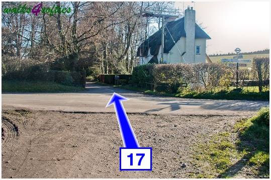 Walking direction photo: 17 for walk Jack's Hedge Corner, Cranborne, Dorset.