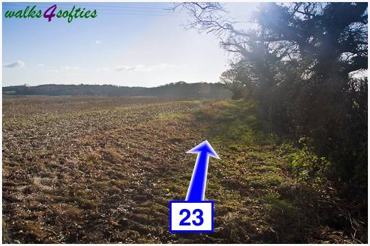 Walking direction photo: 23 for walk Jack's Hedge Corner, Cranborne, Dorset.