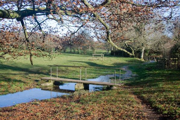 Picture, Photo, View of Cranborne, Dorset