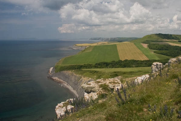 Picture, Photo, View of Kingston(Houns-tout), Dorset