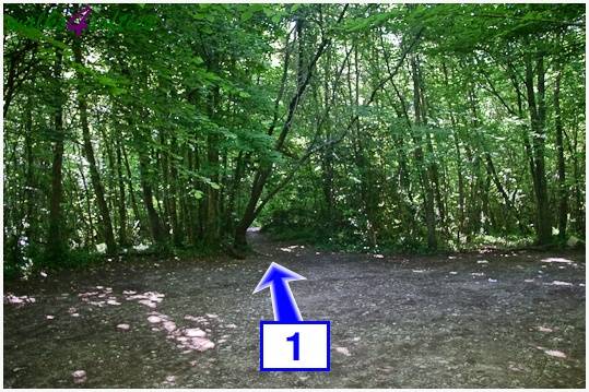 Walking direction photo: 1 for walk Houns-tout Cliff, Kingston(Houns-tout), Dorset, Jurassic Coast.