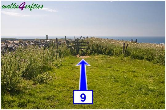 Walking direction photo: 9 for walk Houns-tout Cliff, Kingston(Houns-tout), Dorset, Jurassic Coast.