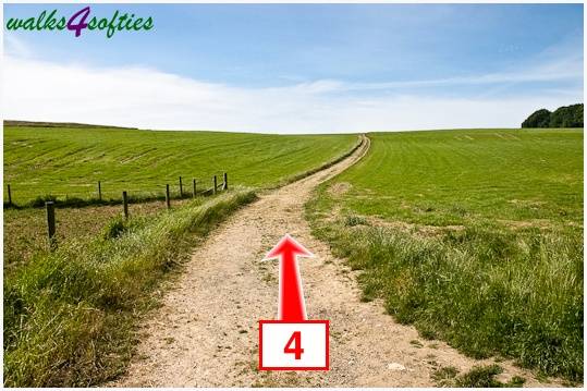 Walk direction photograph: 4 for walk Rope Lake Head, Kingston(Houns-tout), Dorset, South West England.