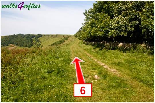 Walk direction photograph: 6 for walk Rope Lake Head, Kingston(Houns-tout), Dorset, South West England.