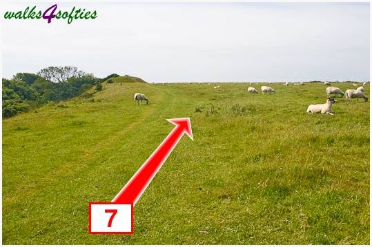 Walking direction photo: 7 for walk Rope Lake Head, Kingston(Houns-tout), Dorset, Jurassic Coast.