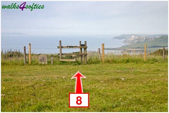 Walk direction photograph: 8 for walk Rope Lake Head, Kingston(Houns-tout), Dorset, South West England.