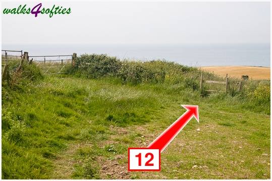 Walk direction photograph: 12 for walk Rope Lake Head, Kingston(Houns-tout), Dorset, South West England.