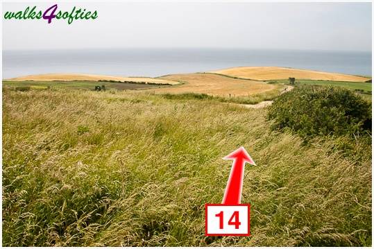 Walk direction photograph: 14 for walk Rope Lake Head, Kingston(Houns-tout), Dorset, South West England.