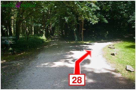 Walk direction photograph: 28 for walk Rope Lake Head, Kingston(Houns-tout), Dorset, South West England.