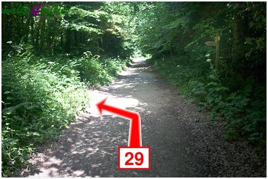 Walking direction photo: 29 for walk Rope Lake Head, Kingston(Houns-tout), Dorset, Jurassic Coast.