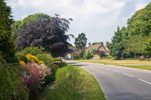 Picture, Photo, View of The Brewers Arms, Martinstown, Dorset