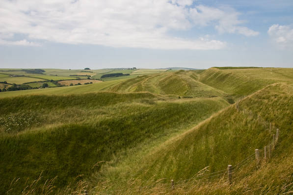 Picture, Photo, View of The Brewers Arms, Martinstown, Dorset