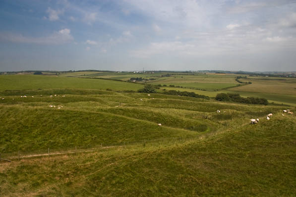 Picture, Photo, View of The Brewers Arms, Martinstown, Dorset